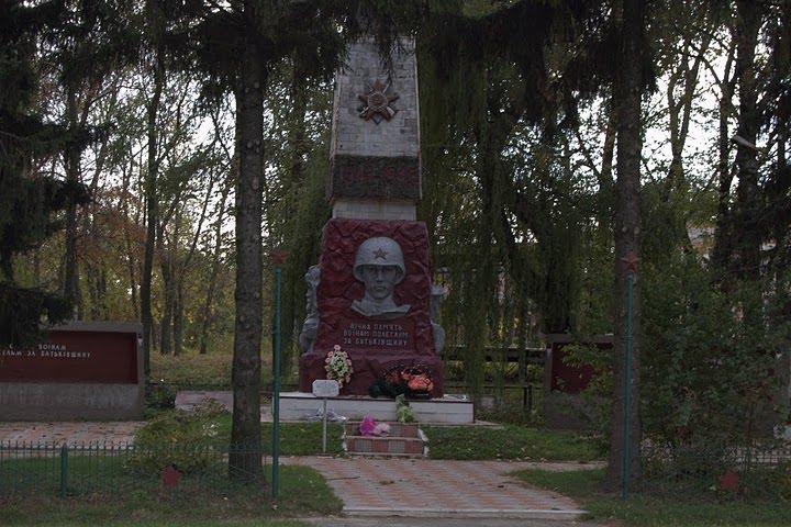 Нова Басань з panoramio.com - Новая Басань