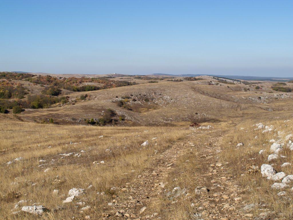 Пчолине з panoramio.com - Пчелиное