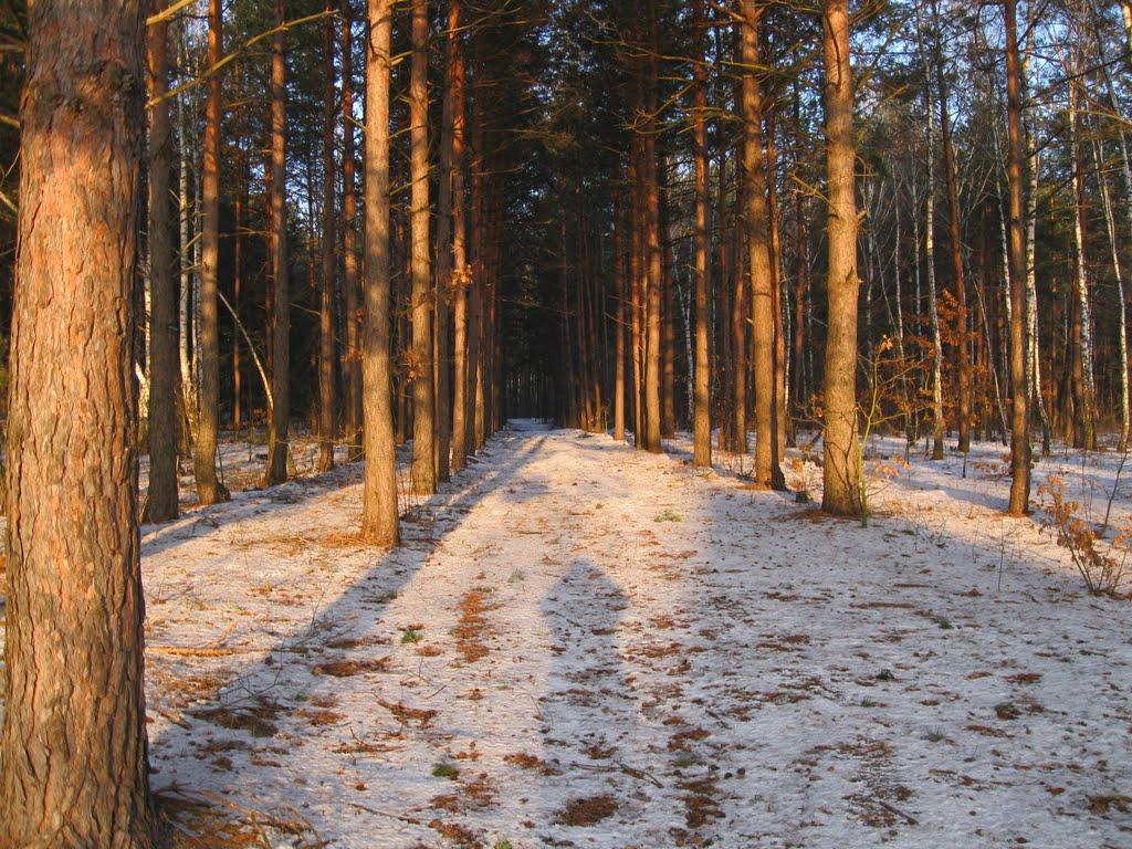 Пилиповичі з panoramio.com - Пилиповичі