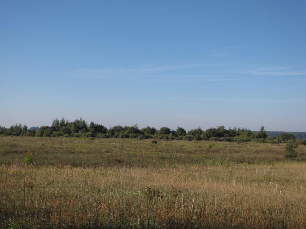 Шуляки з panoramio.com - Shulyaky