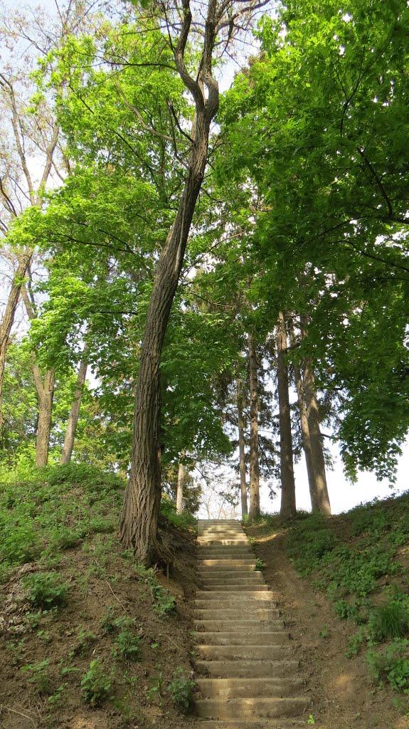 Диканька з panoramio.com - Dikanka