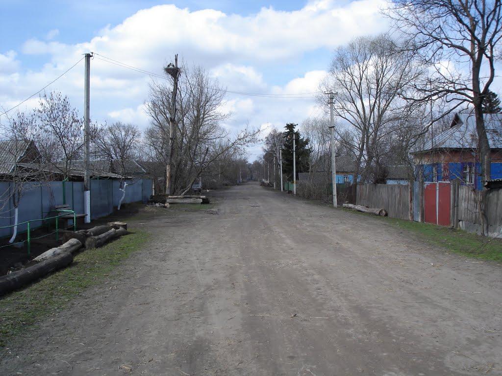 Григорівка з panoramio.com - Григоровка