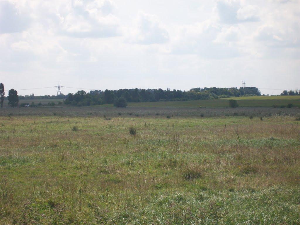 Стара Гута з panoramio.com - Старая Гута