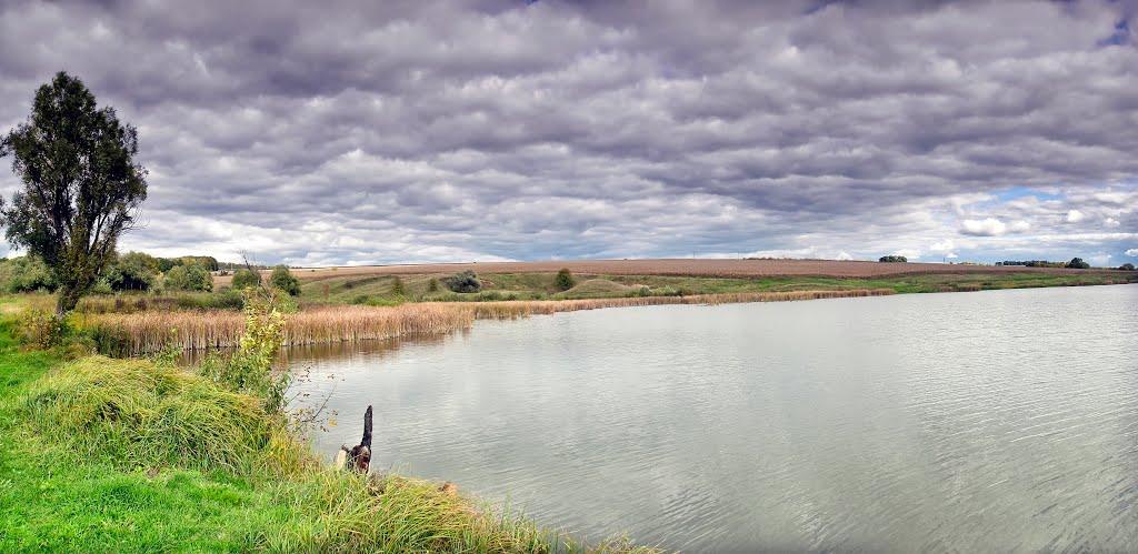 Крупчине з panoramio.com - Крупчино