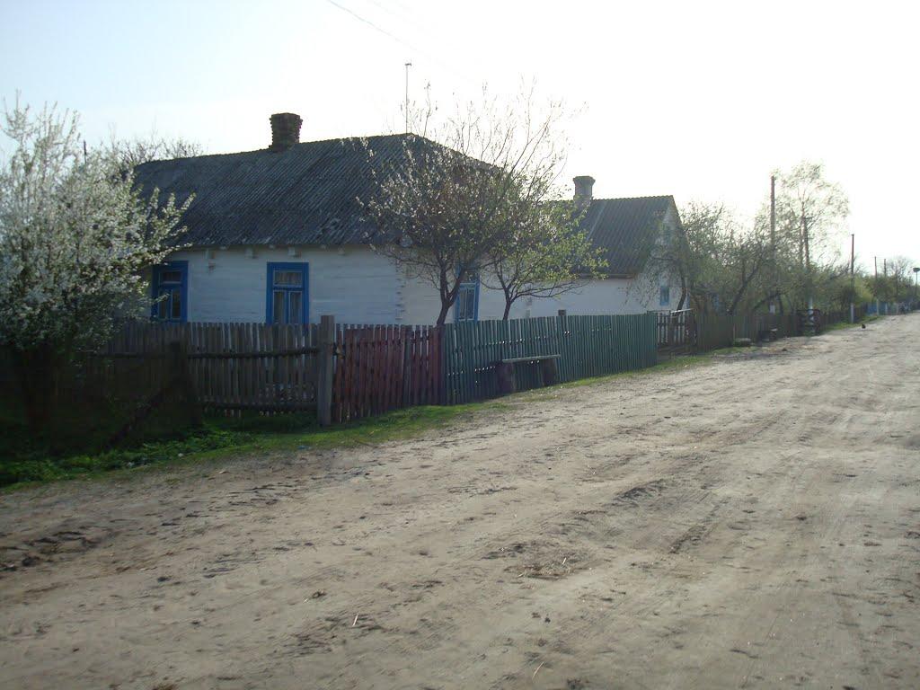 Дроздні з panoramio.com - Дроздни