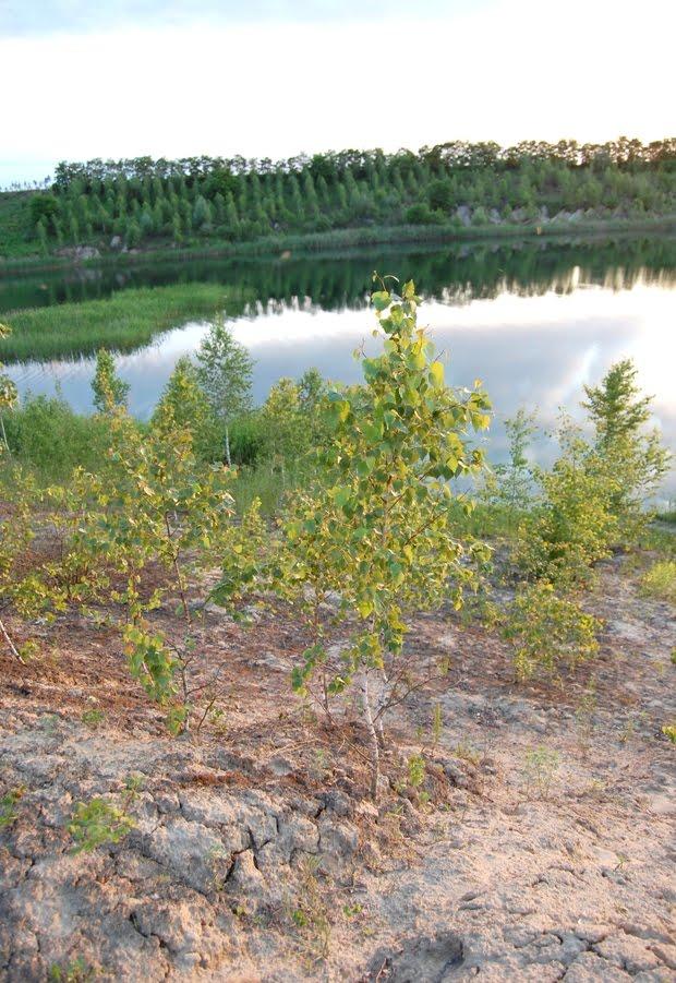 Андрушівка з panoramio.com - Andrushivka