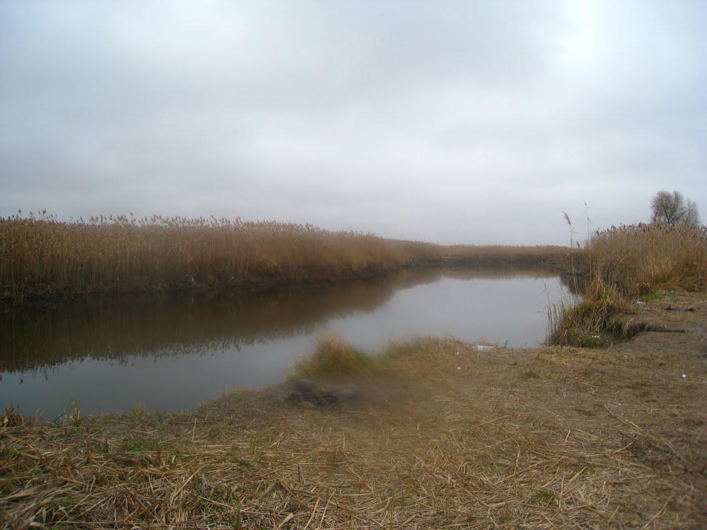 Старий Мохнач з panoramio.com - Старий Мохнач