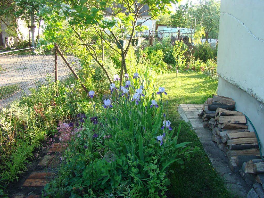 Підрясне з panoramio.com - Підрясне