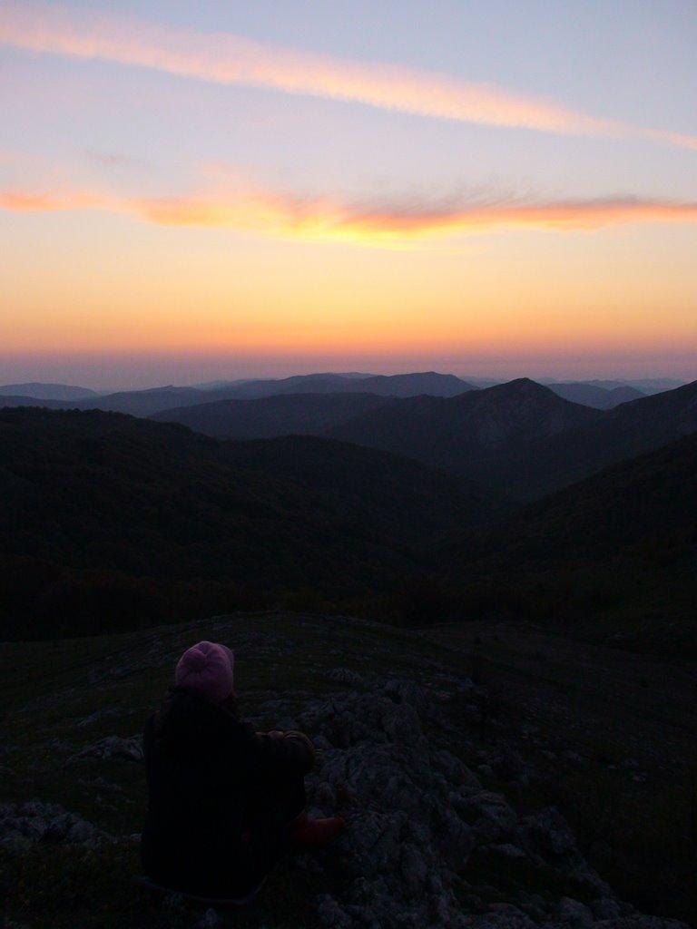 Пчолине з panoramio.com - Пчелиное