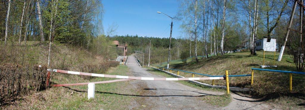 Буки з panoramio.com - Буки