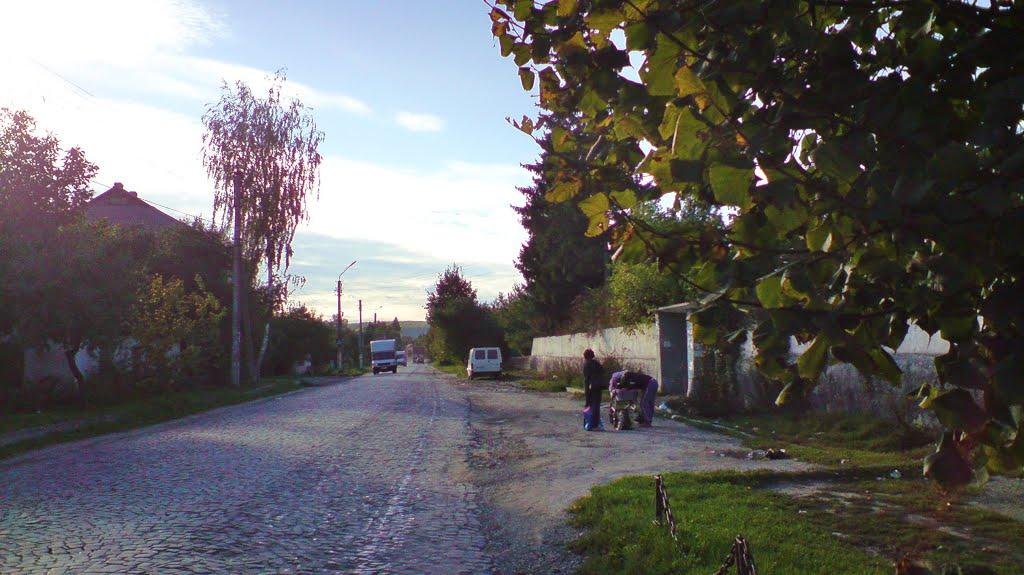 Лісники з panoramio.com - Лісники