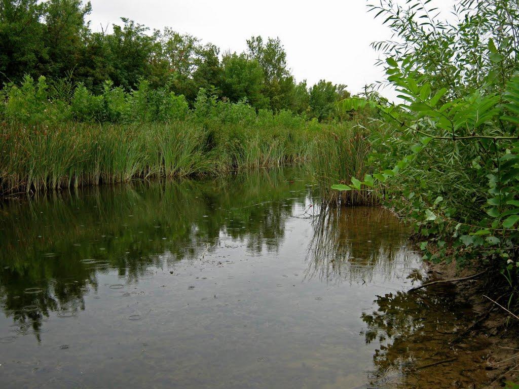 Червоні Поди з panoramio.com - Червоні Поди