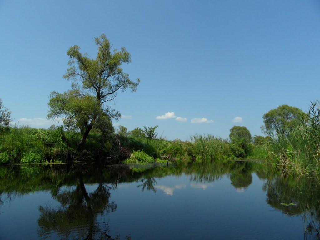 Литовка з panoramio.com - Литовка