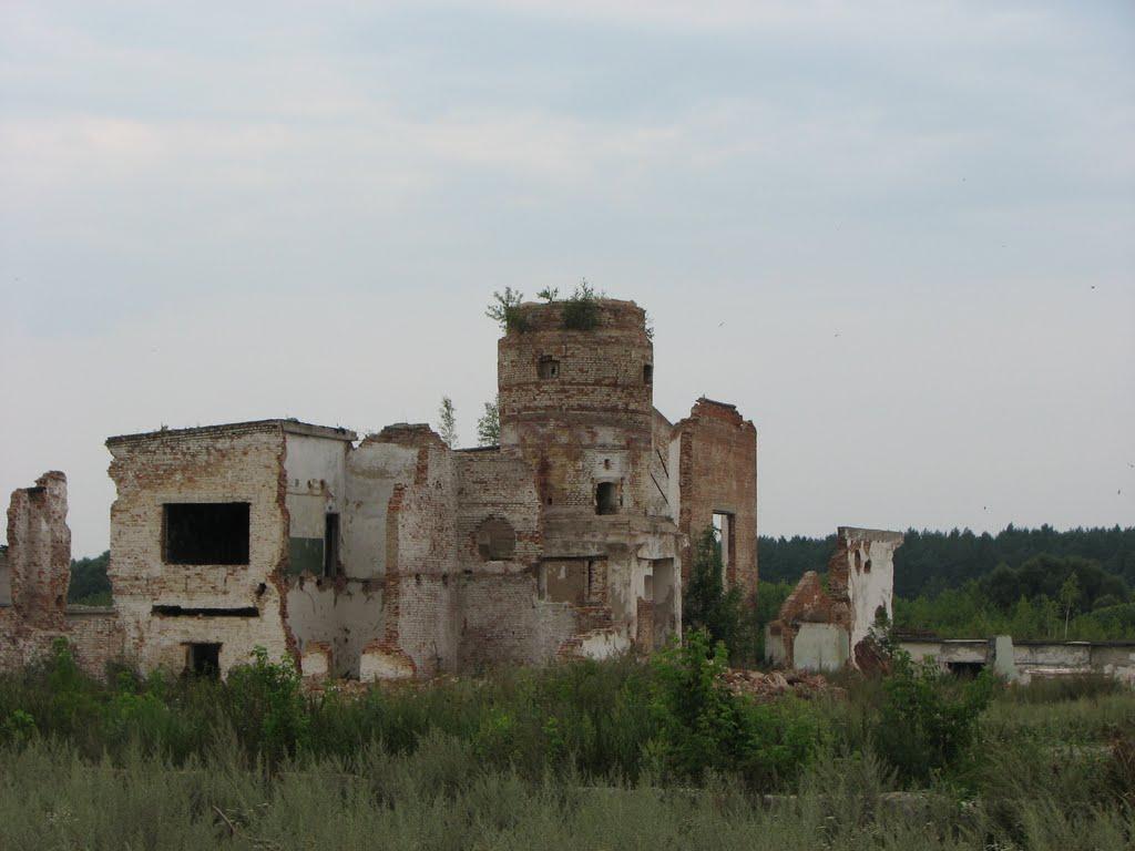 Шалигине з panoramio.com - Шалигине