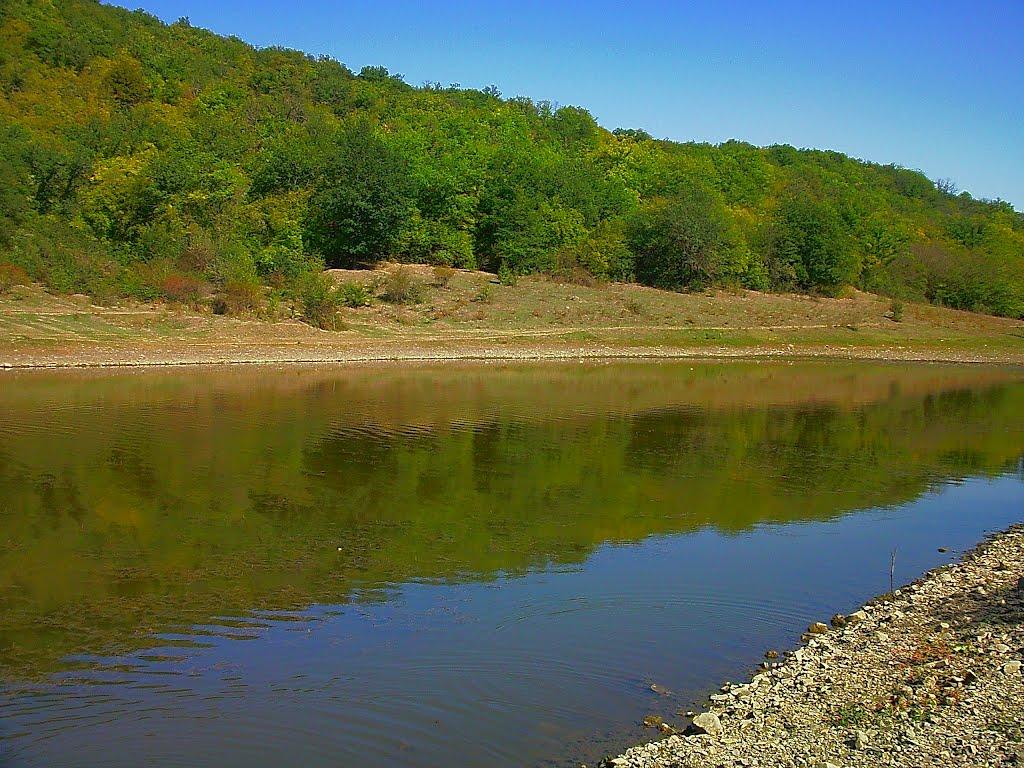 Синапне з panoramio.com - Синапне