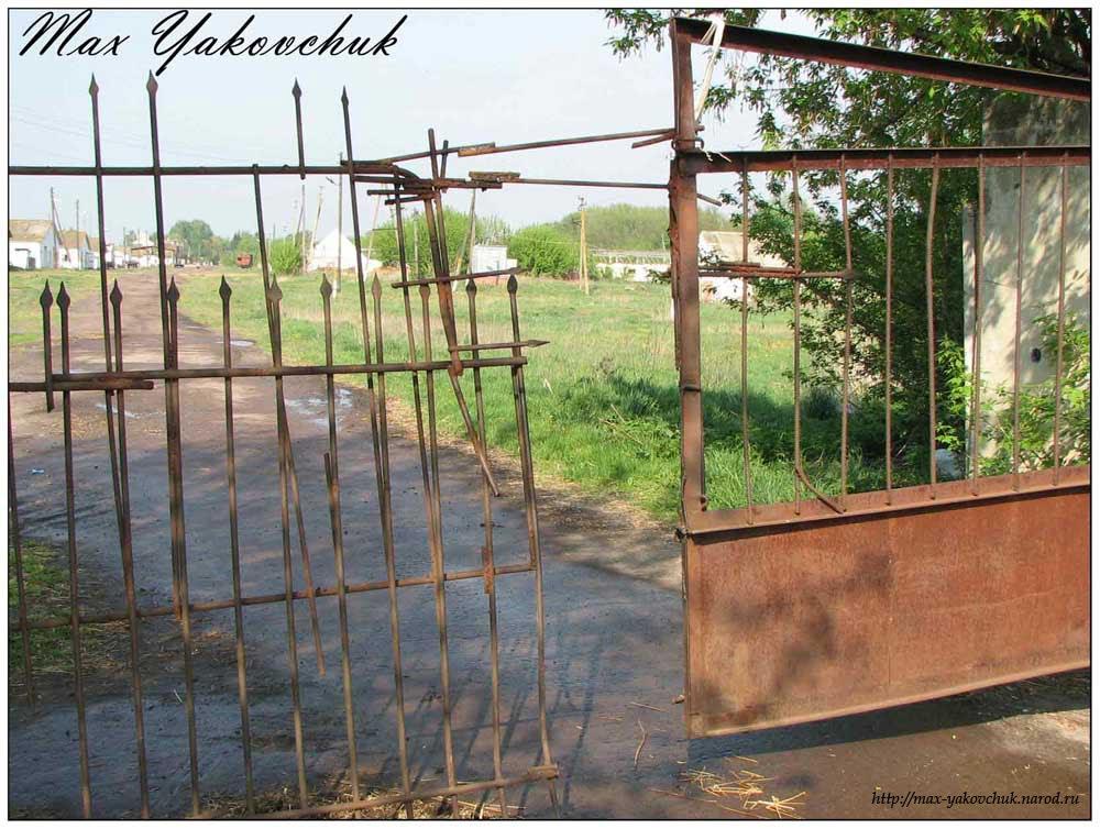 Нова Басань з panoramio.com - Нова Басань