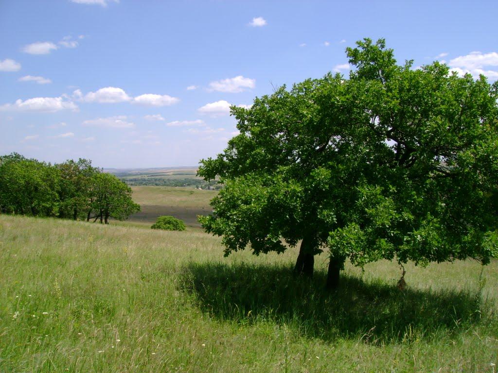 Малоіванівка з panoramio.com - Малоіванівка