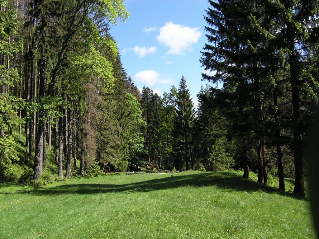 Воловець з panoramio.com - Воловец