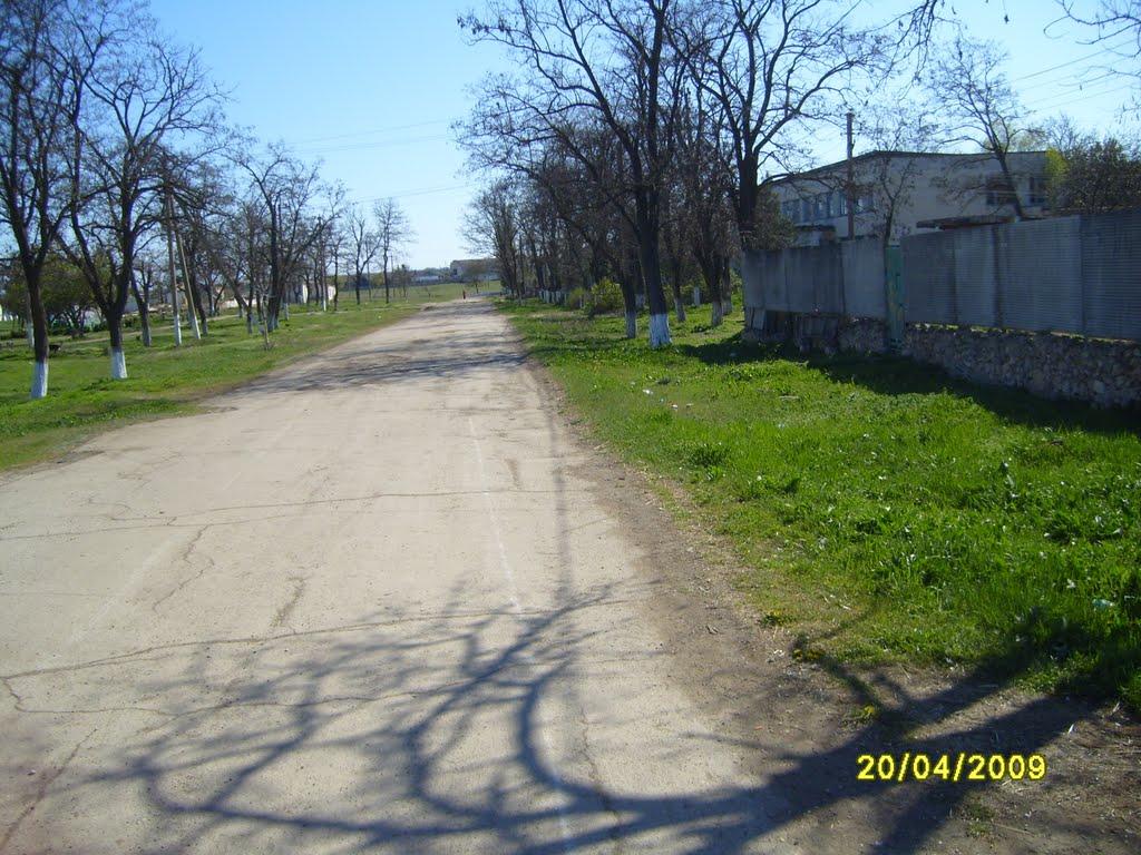 Дібрівське з panoramio.com
