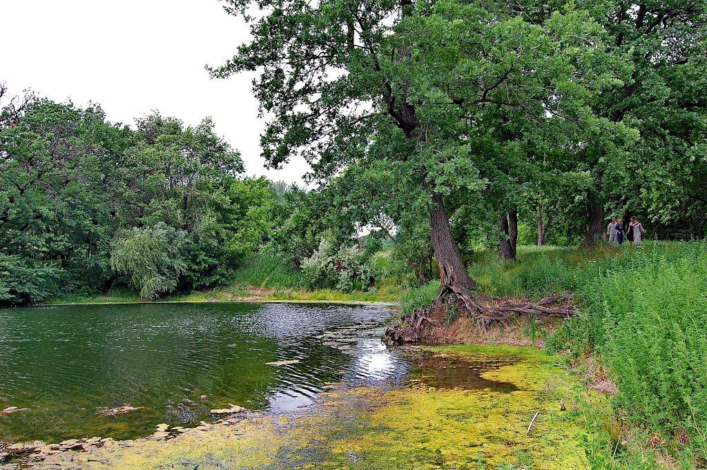 Краснодон з panoramio.com - Краснодон