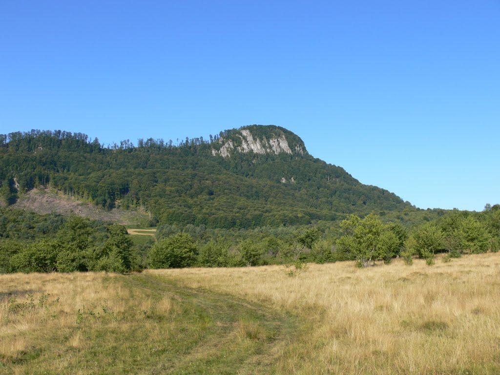 Бедевля з panoramio.com - Бедевля