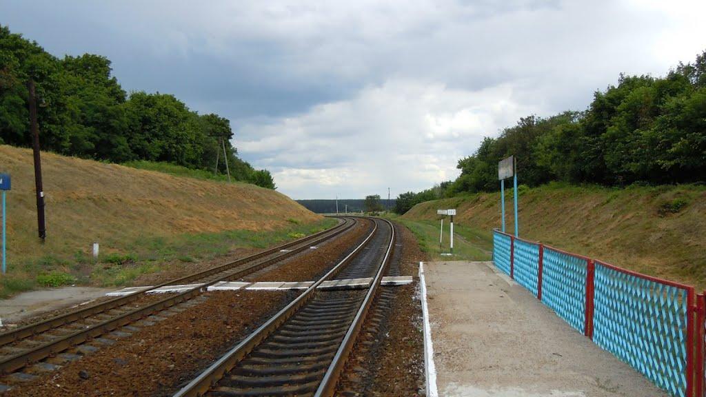 Микитівка з panoramio.com - Микитівка