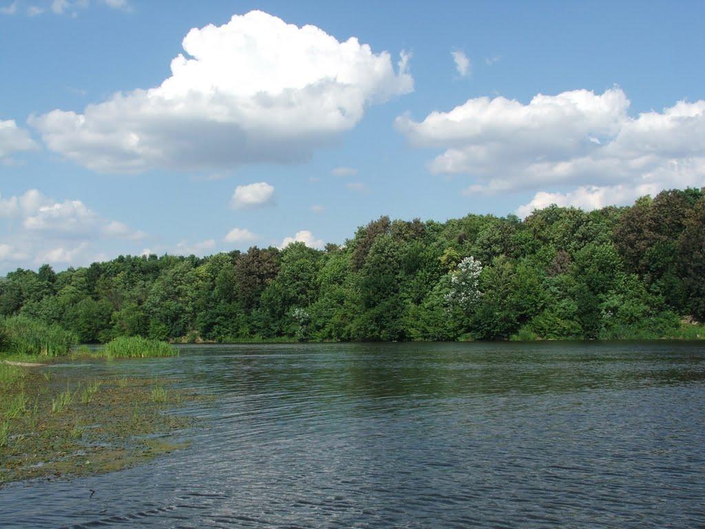 Кошаро-Олександрівка з panoramio.com - Кошаро-Олександрівка