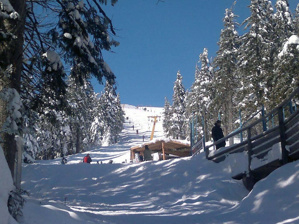 Чорна Тиса з panoramio.com - Чорна Тиса