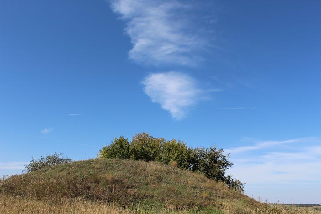 Дерешова з panoramio.com - Дерешова