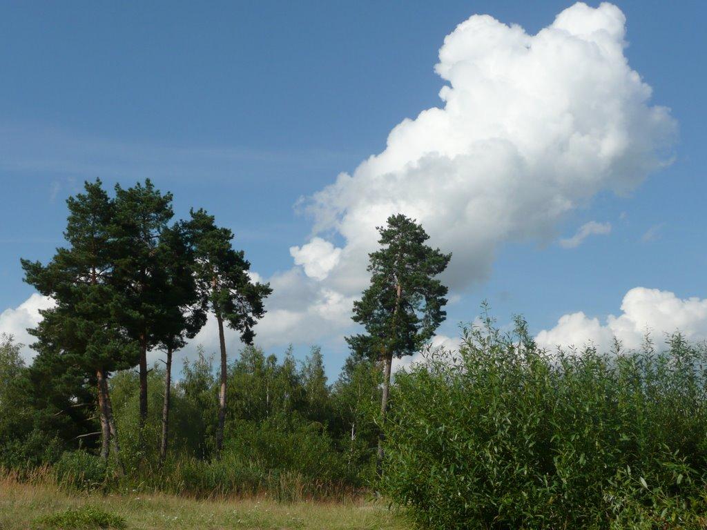 Лебедин з panoramio.com - Лебедин