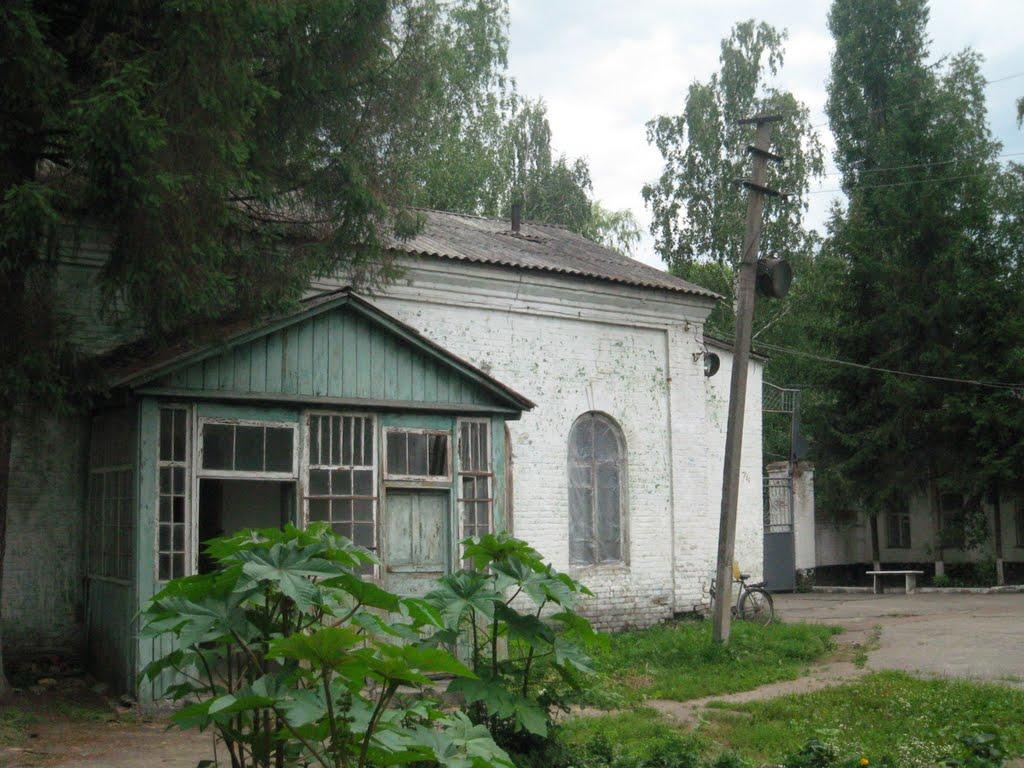 Лебедин з panoramio.com - Lebedyn