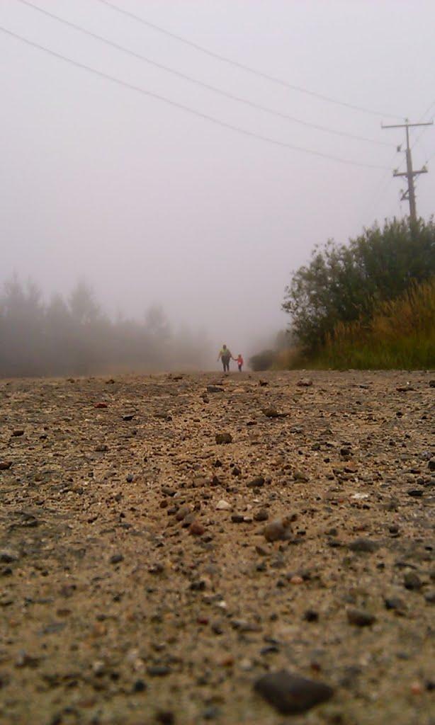 Коти з panoramio.com - Коты