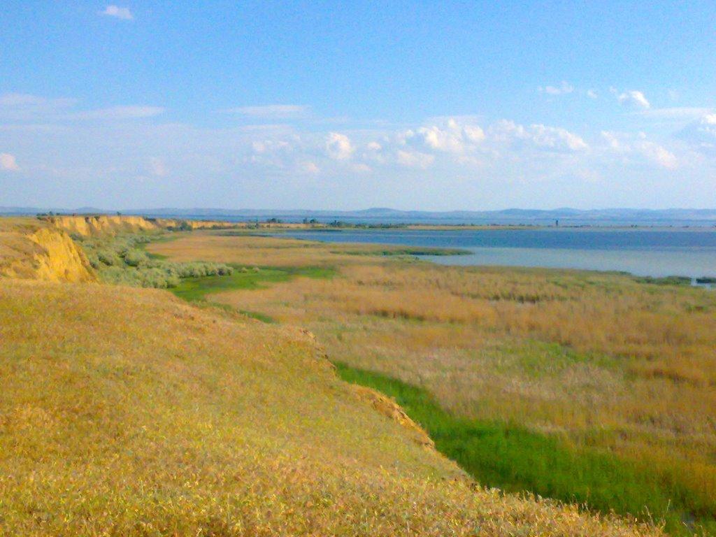 Нова Некрасівка з panoramio.com - Нова Некрасівка