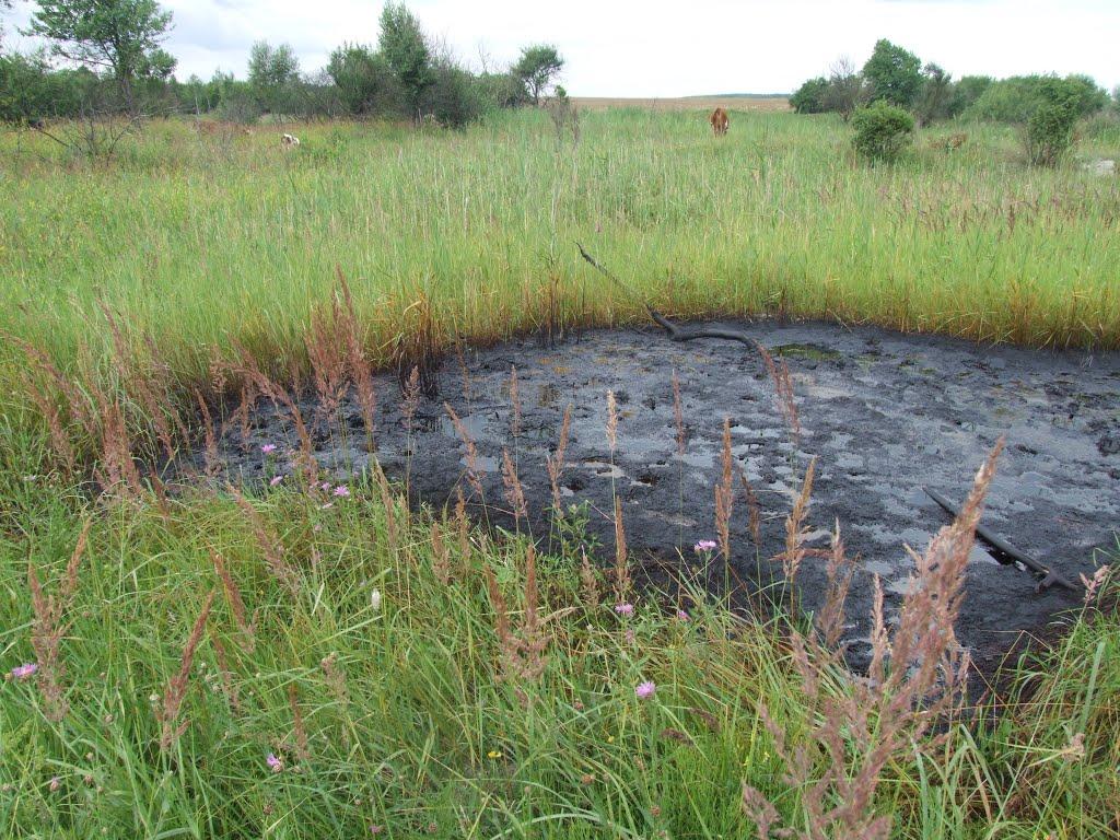 Старуня з panoramio.com - Старуня