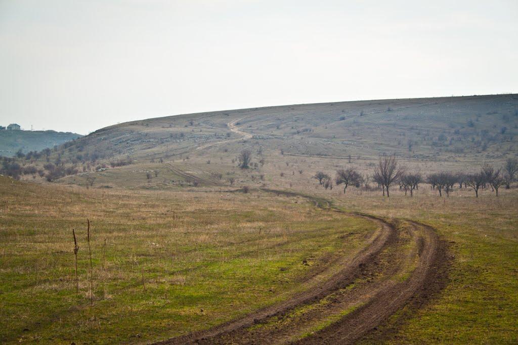 Живописне з panoramio.com - Живописное