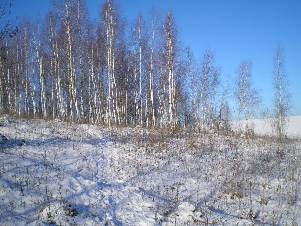 Махаринці з panoramio.com - Makharyntsi