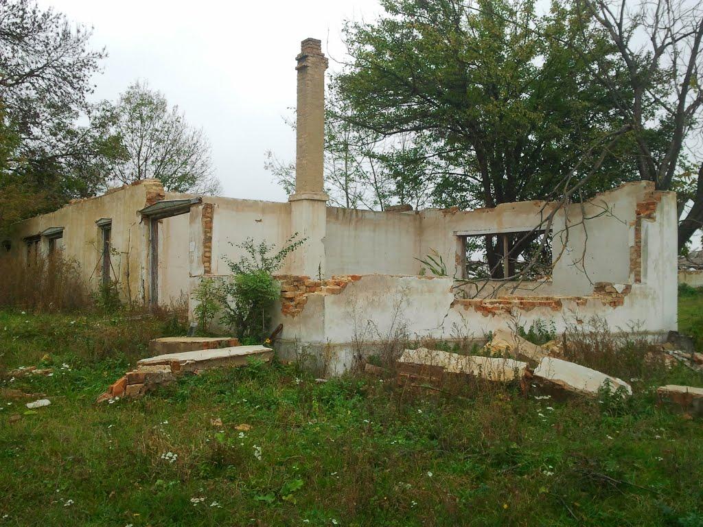 Закружці з panoramio.com