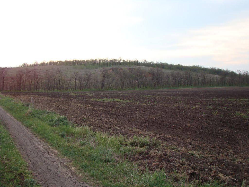 Червоногірка з panoramio.com - Червоногорка