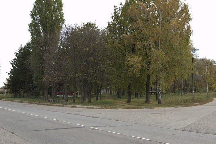 Нова Басань з panoramio.com - Нова Басань