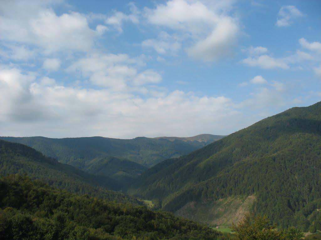 Міжгір'я з panoramio.com - Міжгір'я