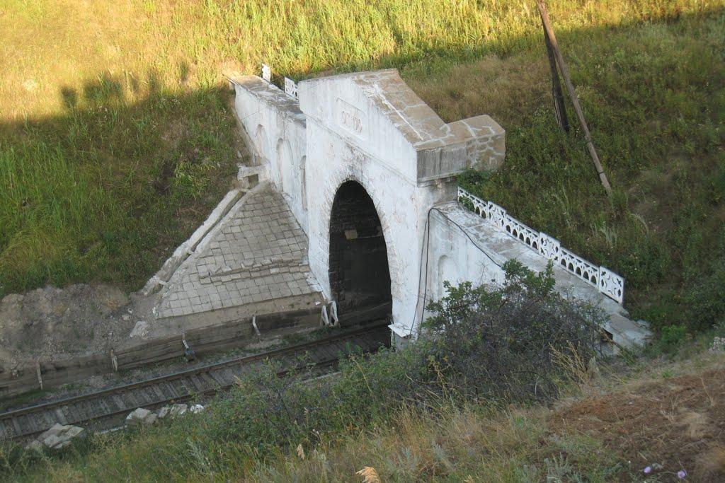 Петро-Миколаївка з panoramio.com - Петро-Николаевка