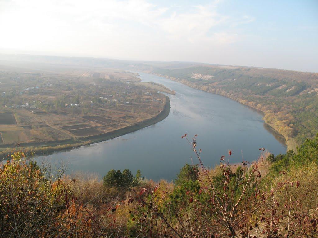 Петрашівка з panoramio.com - Петрашівка