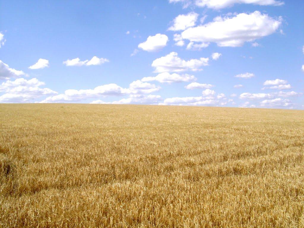 Лозне з panoramio.com - Лозное