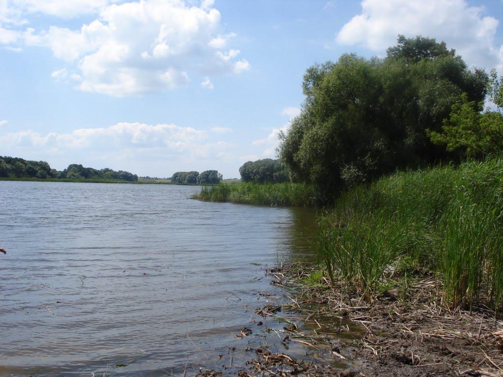 Шпичинці з panoramio.com - Шпичинці