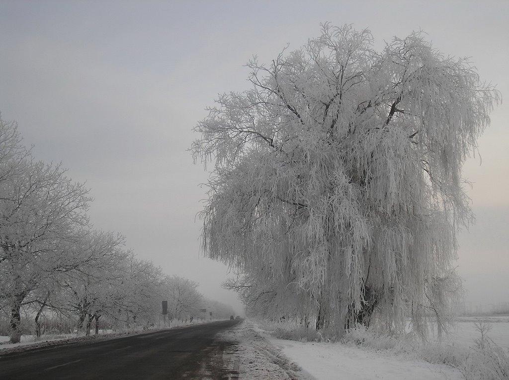 Великі Лучки з panoramio.com - Великі Лучки