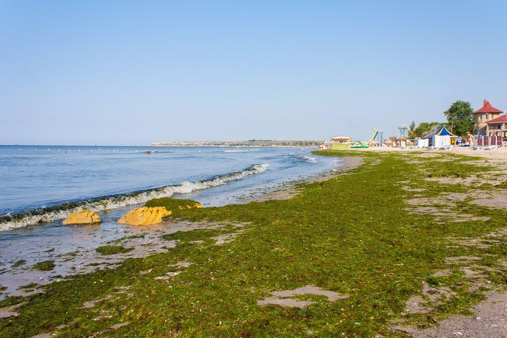 Коблеве з panoramio.com - Коблево