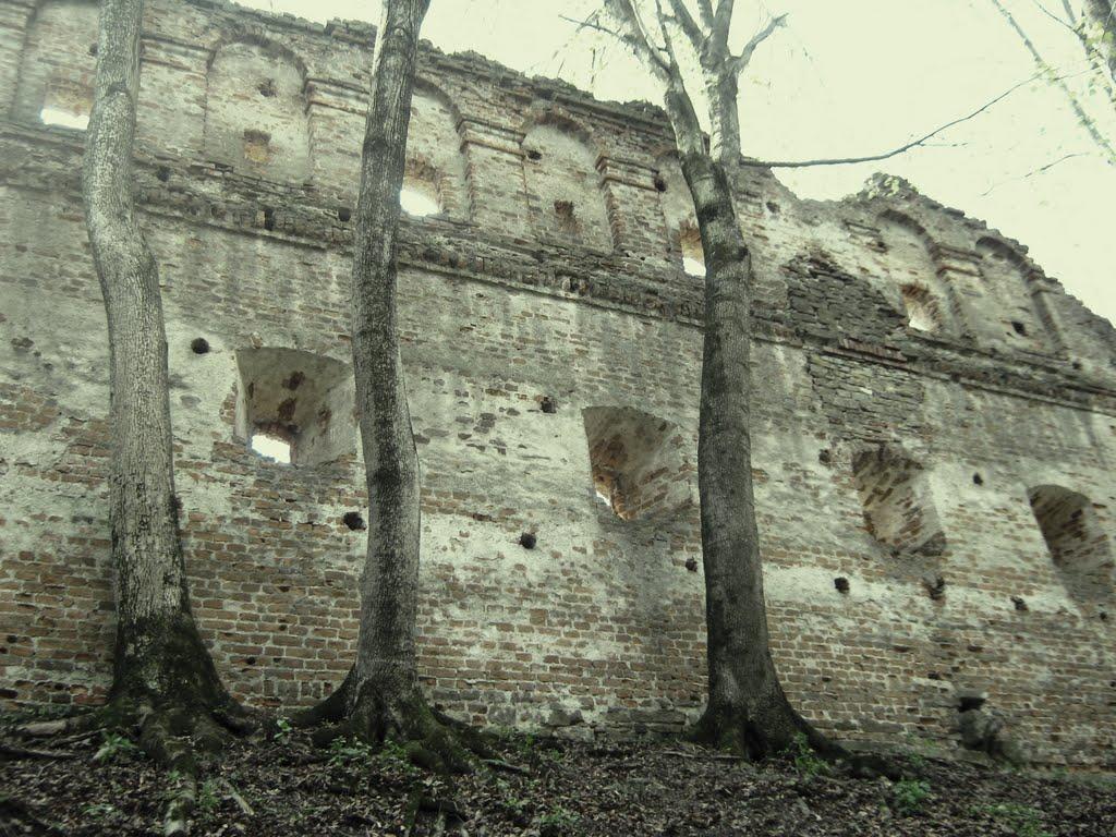 Добромиль з panoramio.com - Dobromyl