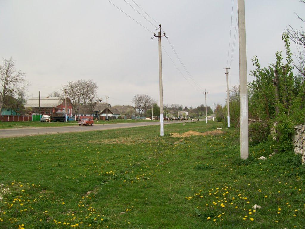 Стара Гута з panoramio.com - Стара Гута