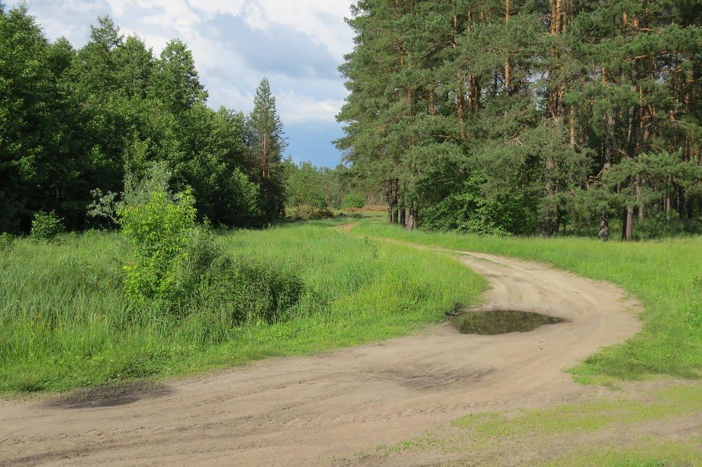 Софіївка з panoramio.com - Софиевка
