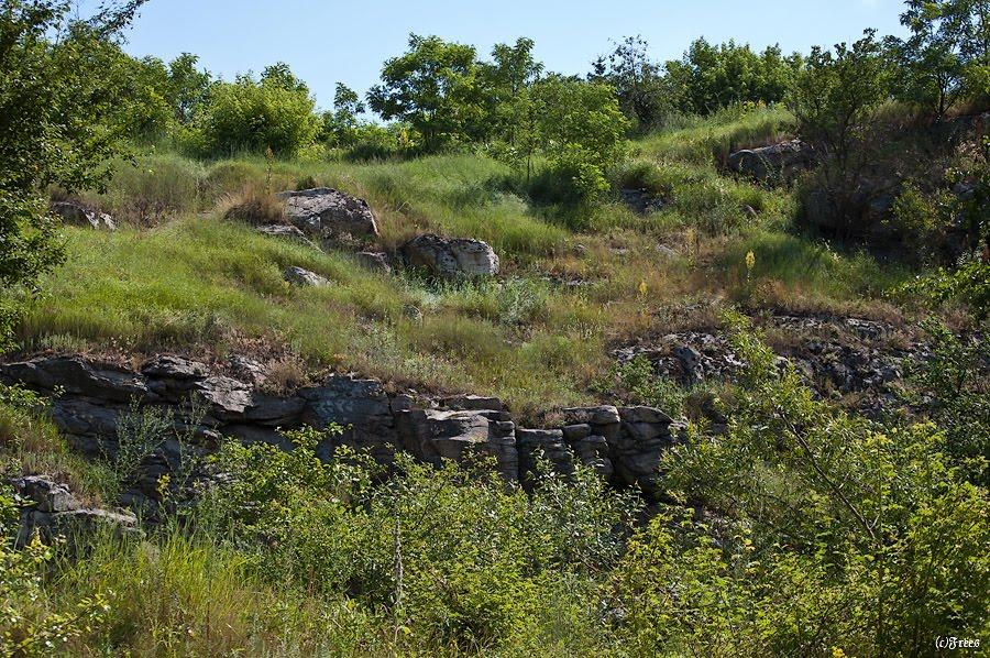 Буки з panoramio.com - Буки